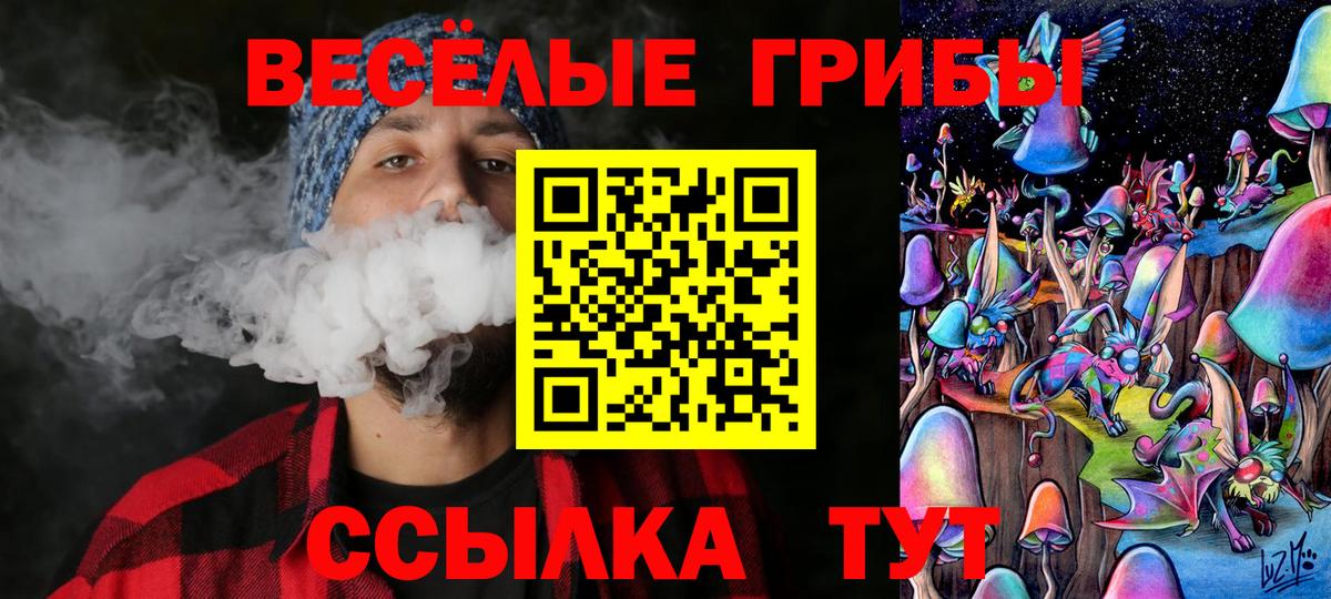 Псилоцибиновые грибы мицелий  Галлюциногенные грибы мицелий  Каменск-Уральский  Вход с VPN 